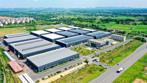 安徽创新科技发展有限公司