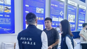 安徽建材学校合并到哪